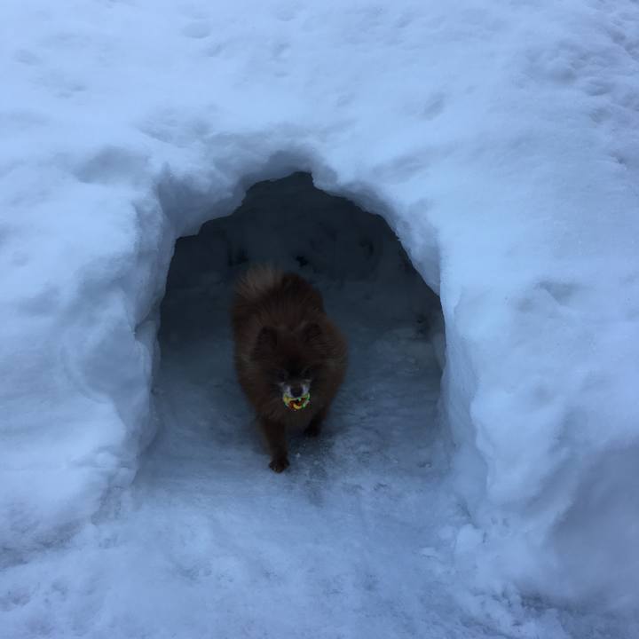 Fd32c9b3 d3be 4719 86d0 ba7078c44895 1516253750018