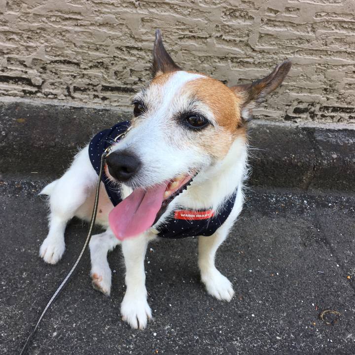 Fd32e1ed c943 4b1f b348 9a18e3c36988 1628810774220