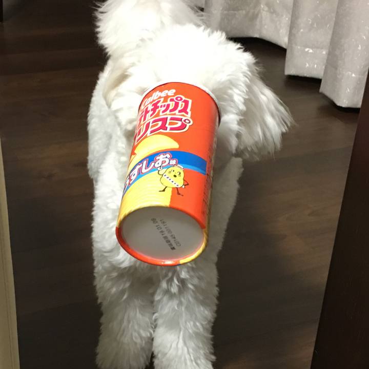 Fd3301e2 1a05 49a5 9f97 c6d890037721 1517236150113