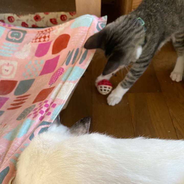 Fd3309c2 7a62 4c74 9c11 71cb2d3d983d 1630372037349