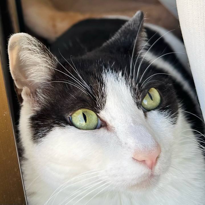 Fd330f75 c12e 493e 84ec e3f00b5bebb4 1713579461101