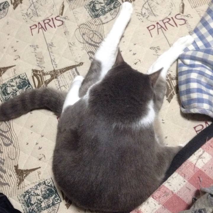 Fd332ff7 0c70 4dc3 98c0 ee8b19d2679a 1508230743527