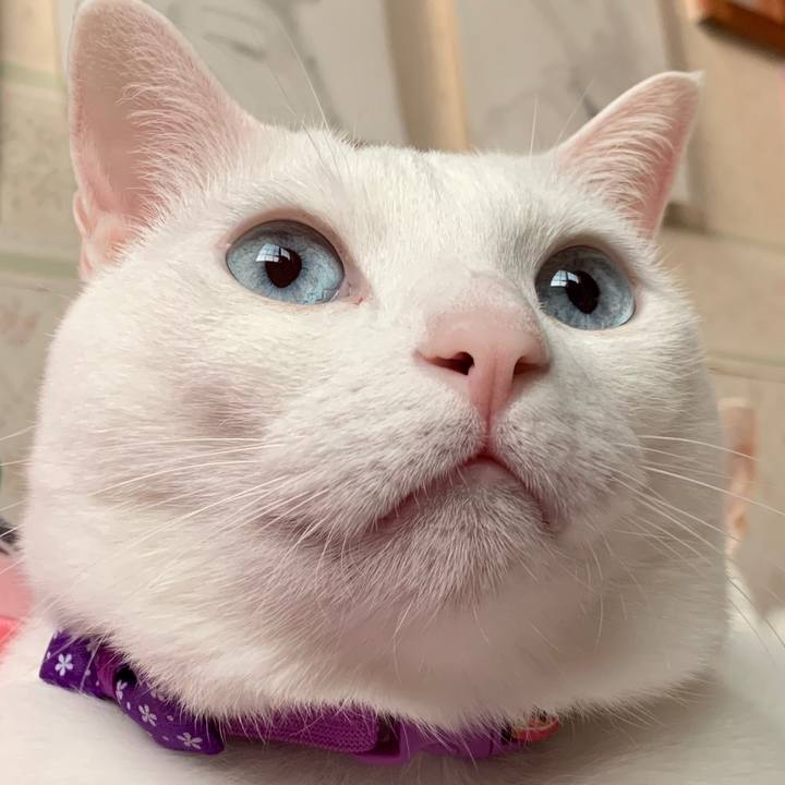 Fd33630a 079e 4da9 b1da 07555c188267 1556744618751