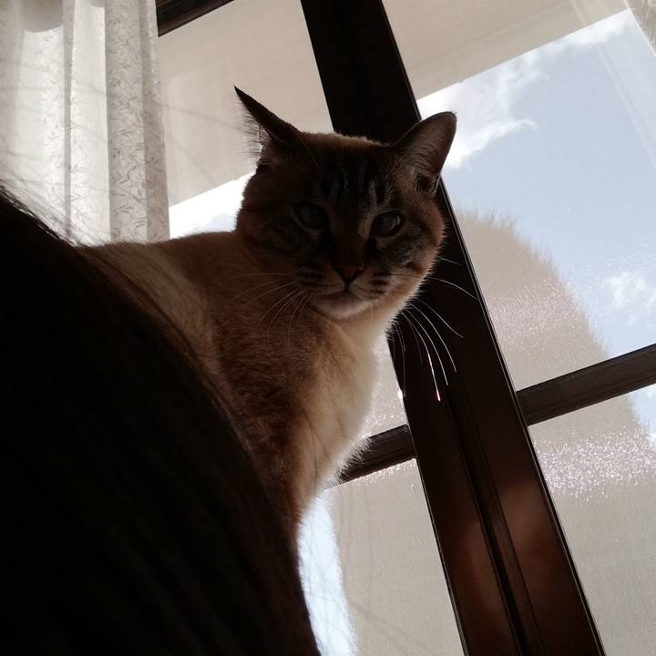 Fd336d67 26c1 4978 9489 d9bce4ea9fea 1516773698973