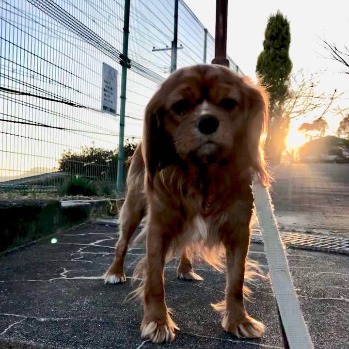 Fd336eaa fc6c 4cf7 9158 0f193945ac59 1547893361565