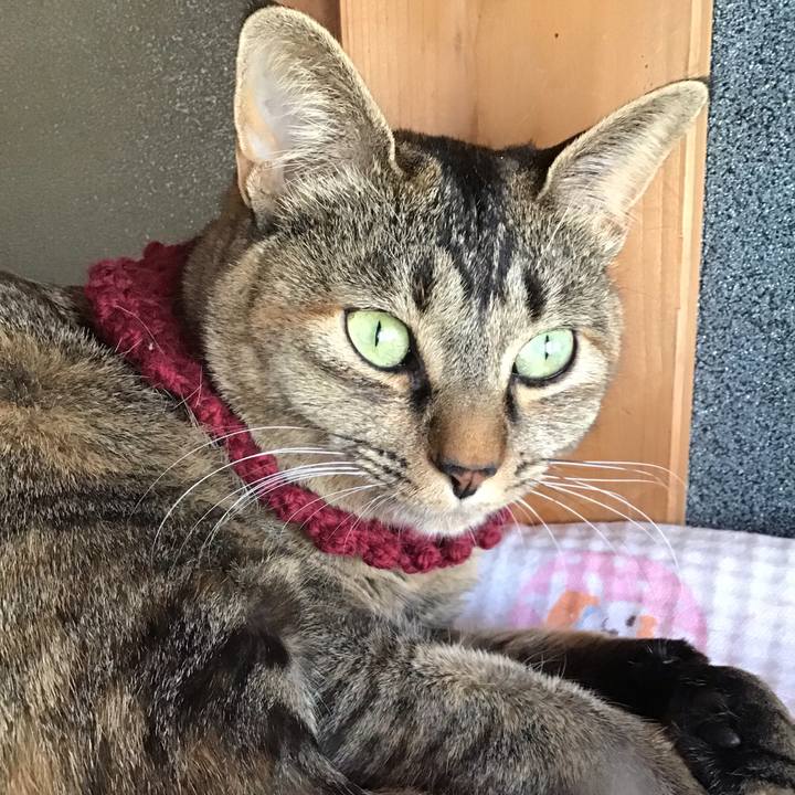 Fd33a138 f158 4058 8b5c ed3dd8ece066 1614241213439