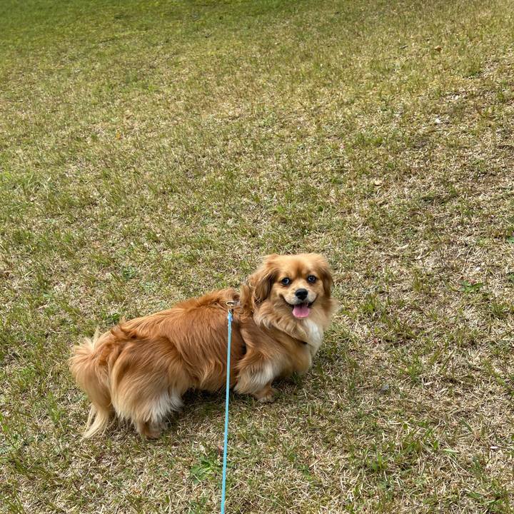 Fd33b974 7f70 48bd 9fa3 6fdaa7e5fa52 1587602576399