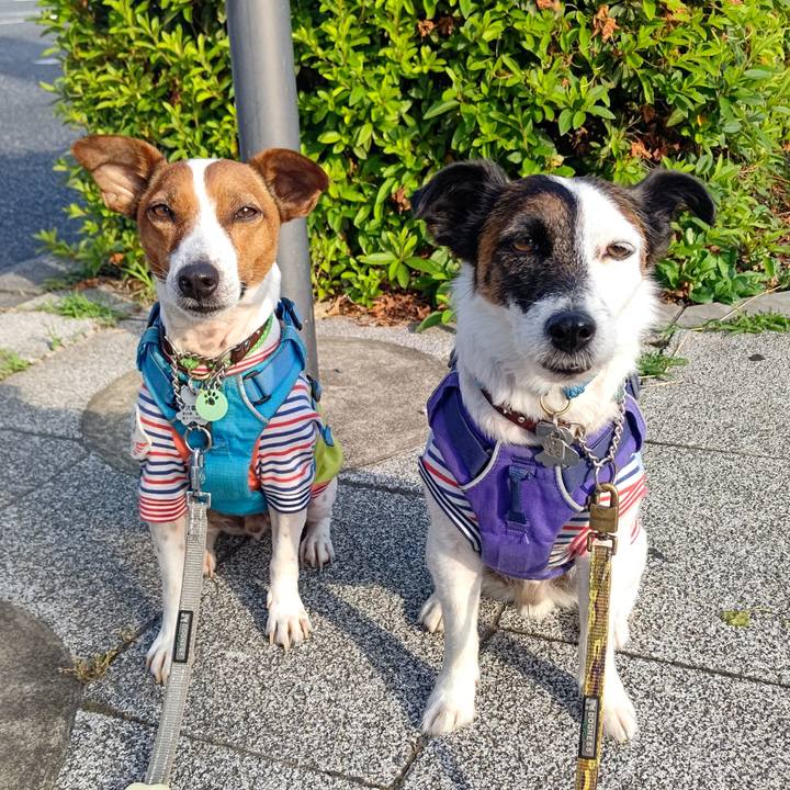 Fd33d592 f141 4bce 94f6 8185df0e4e29 1653861869794