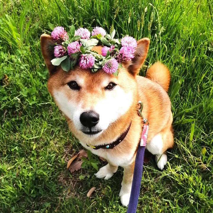 Fd340b79 fdd2 483b a10e 282c57ca77a2 1620026022647