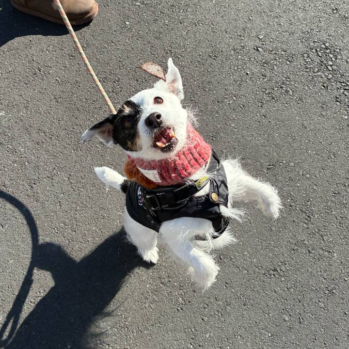 Fd341530 24a2 417e 86e4 de931ab9cd6f 1769218215931