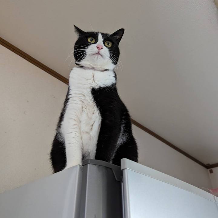 Fd3420cb 437c 4556 b599 e080cabef0ec 1704857447861