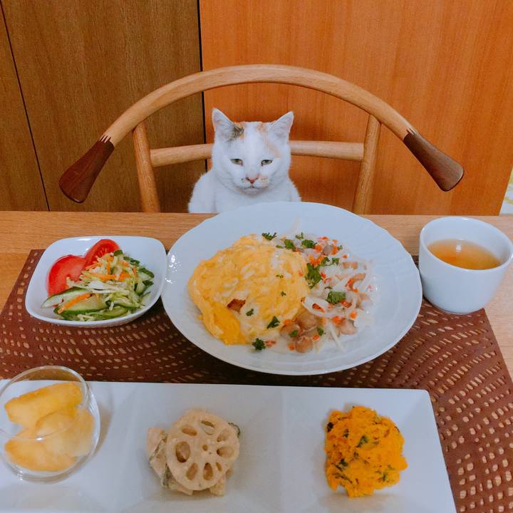 Fd342520 f4ae 4af9 99ad 3e25e8380897 1512551546390