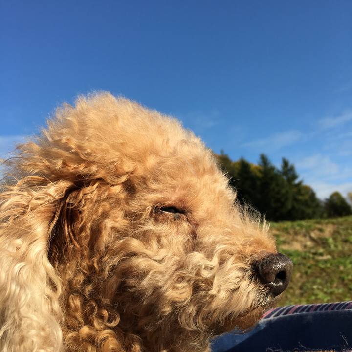 Fd343856 2800 4041 87cb d8435fc713d4 1508575359513