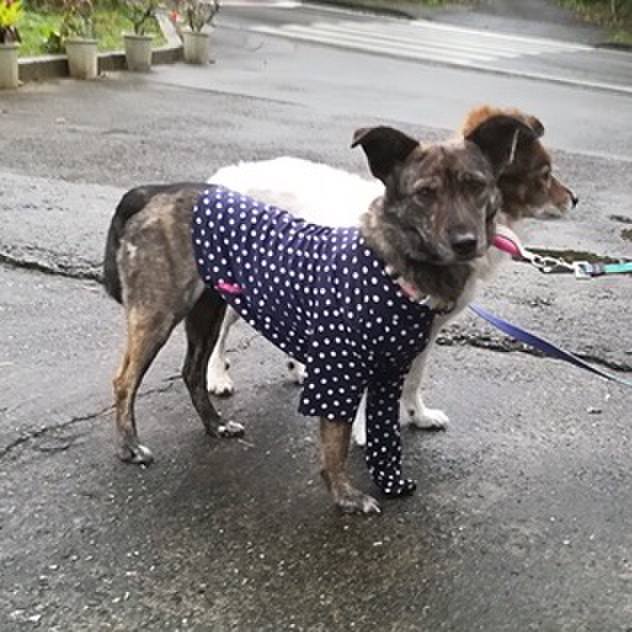 Fd3456d6 985b 4bf5 af8e 454db3a04bc8 1580220571877