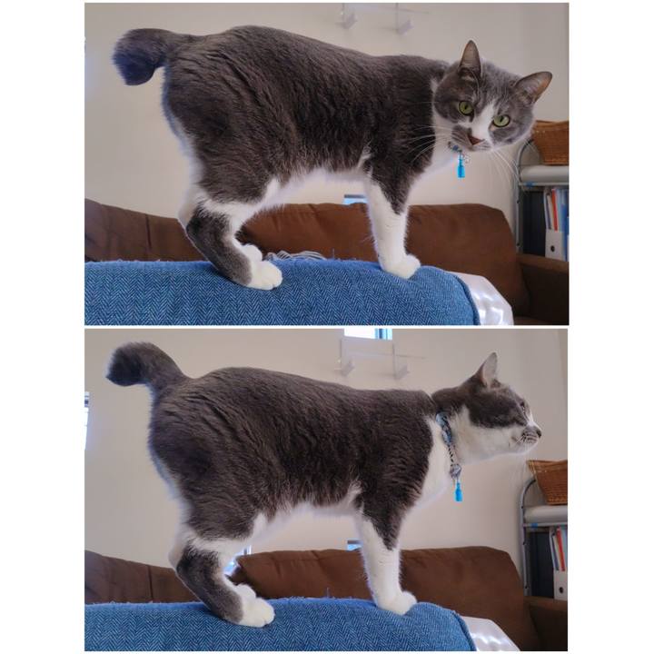 Fd3458a6 dbac 4bc6 bd36 678cf90c6f0a 1674964896711