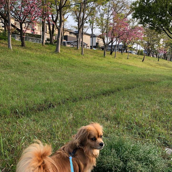 Fd3469ed b458 46fe a750 2f0a004fc6c9 1555798267126