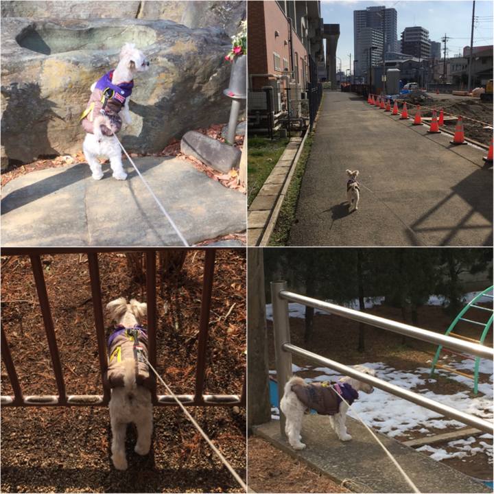 Fd349272 cea7 401f af04 231ed279a12f 1517722314140