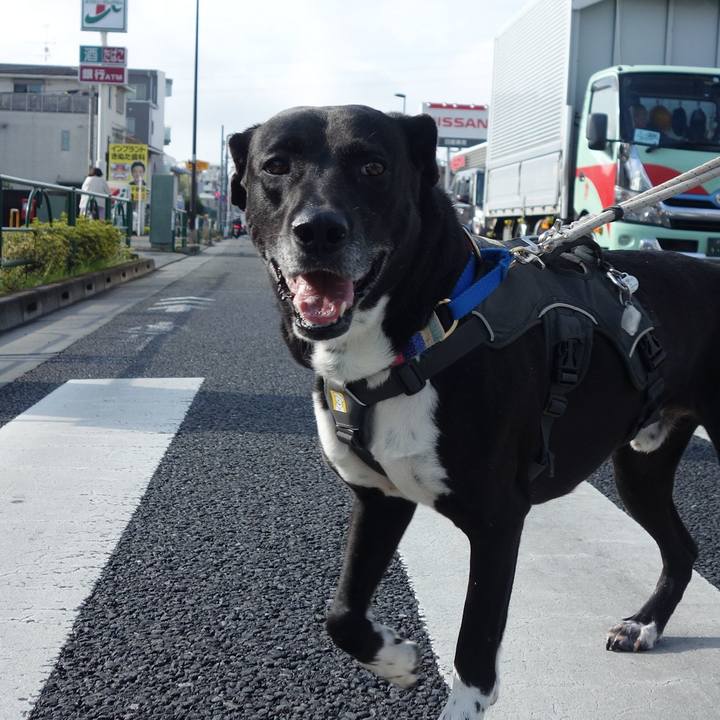 Fd349772 994f 44fb b70e 22ca6638fb04 1650329467126