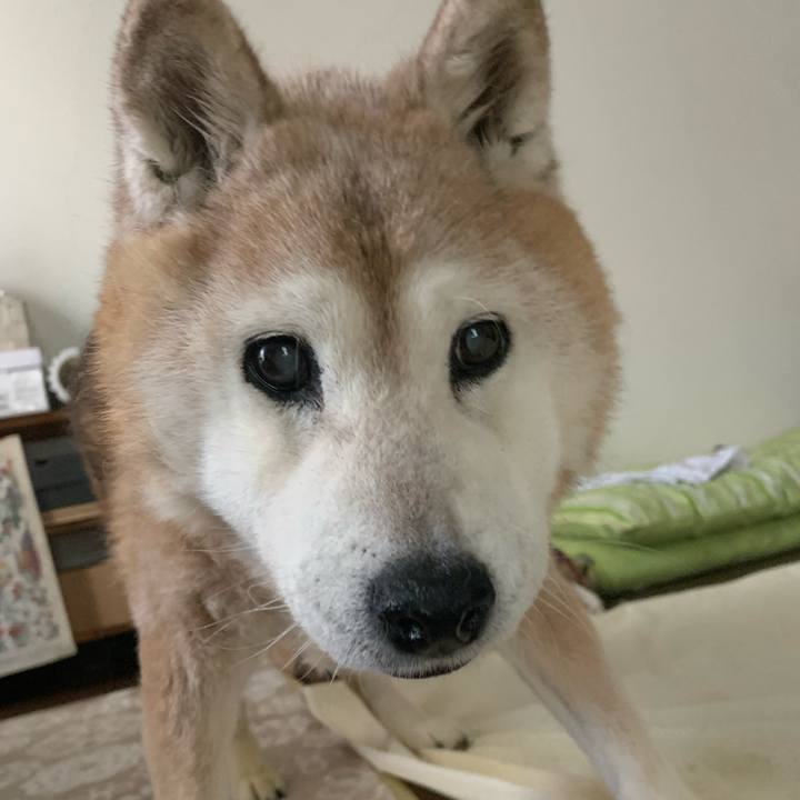 Fd34c605 6d0e 44b5 9249 8116483fe8f3 1690615188079