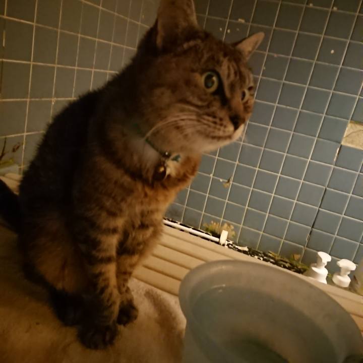 Fd34e919 adbb 4759 b949 f1c0eae11e0f 1571391146517