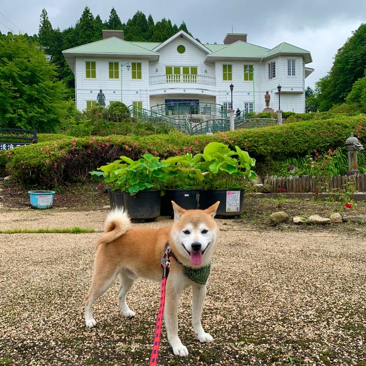 Fd34edfd fcd9 4db3 aee3 976b01132dc5 1686050118673