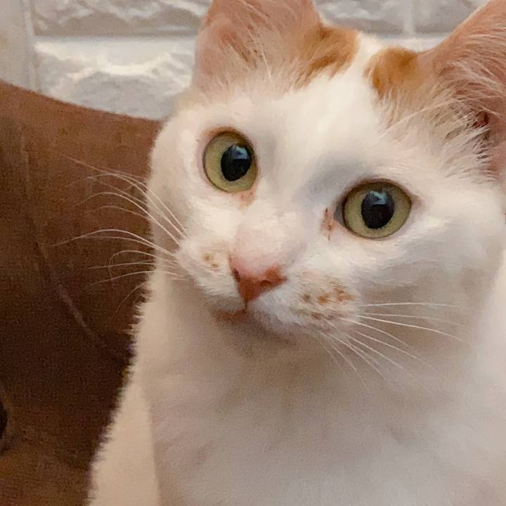 Fd34f94c 0ba6 41b4 806c 198939098543 1590231806345