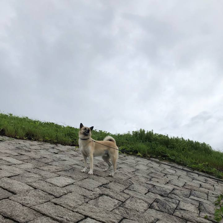 Fd351411 2f07 4f29 bd02 2ad5ab1b0e99 1629622265718