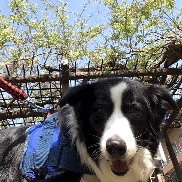 Fd353cbd 85a8 4222 8604 2e3d1fbfebad 1555917162509