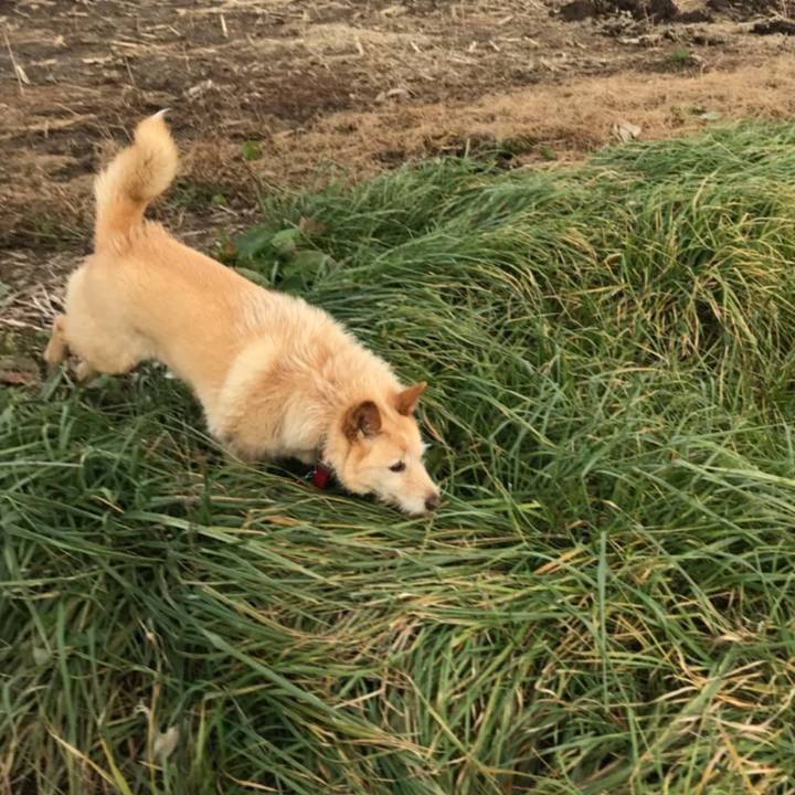 Fd353e3d 8197 45fa b378 1ca5502f064d 1510227377594