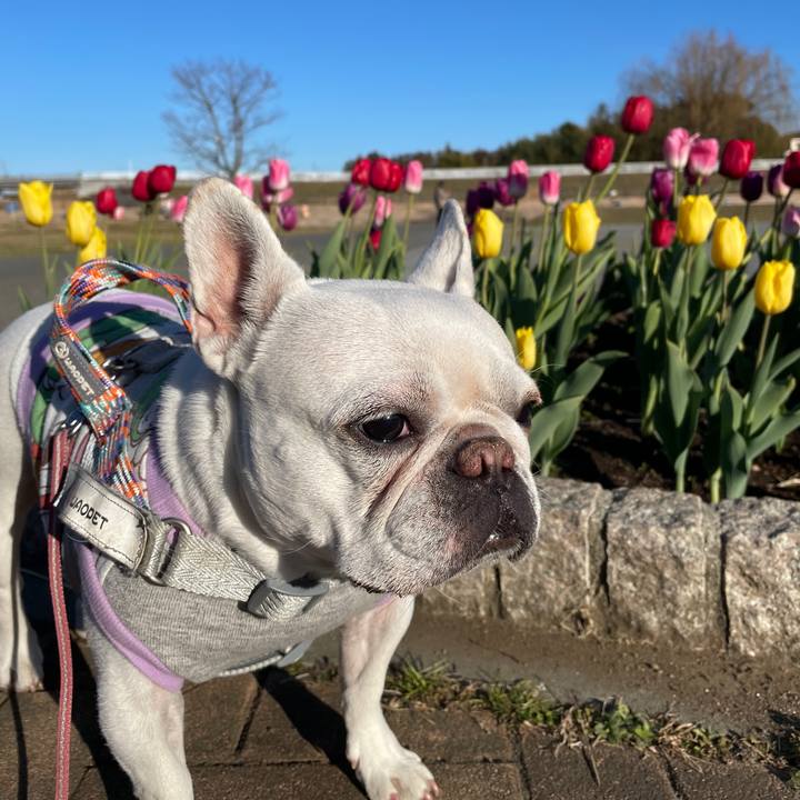 Fd357e74 5afc 432e a54a 03a2b5f116d9 1767692689400