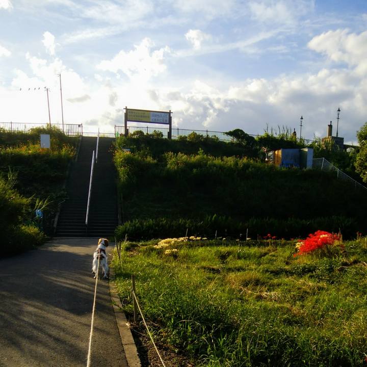 Fd35a837 608b 46c0 bd64 0a79d93408a6 1537618240391