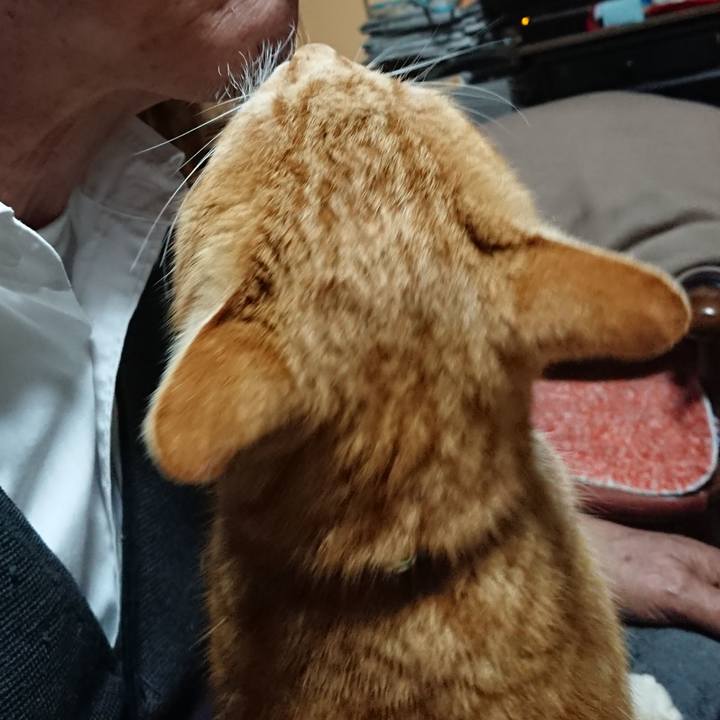 Fd35c500 3749 48b1 8298 1610d6151ea8 1580288436053