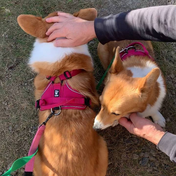 Fd35cfb5 905f 4826 a028 4f099a1b4563 1637979984815