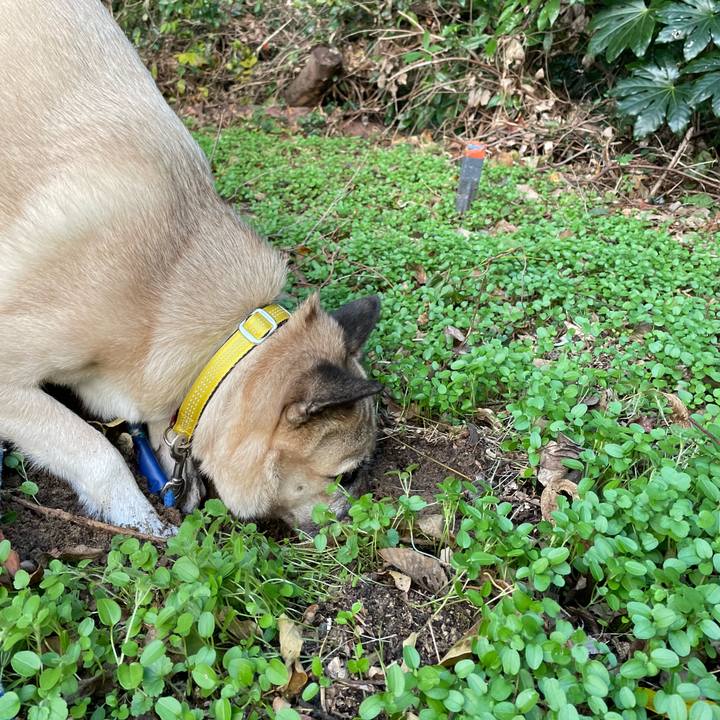 Fd35eb72 8fe5 46a3 918d 23ce3e410dcf 1640076085923