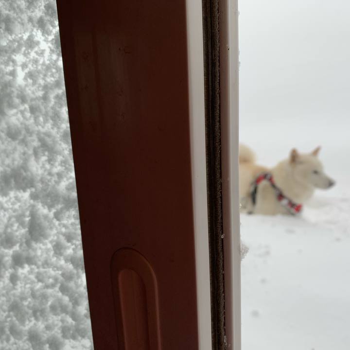 Fd360069 fc98 4f94 9964 eb811b87e5b8 1611017555223