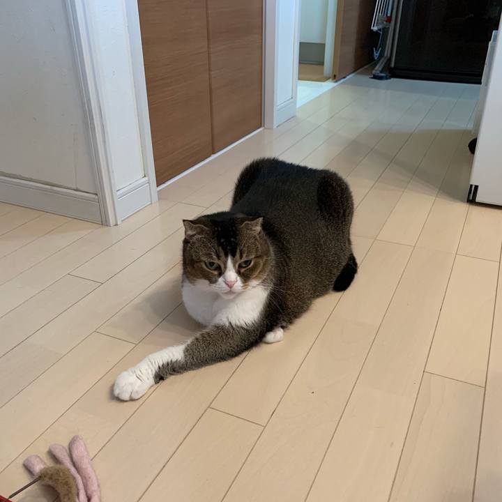 Fd3640a3 3a1a 42da a99f eeb57e222894 1567551530781