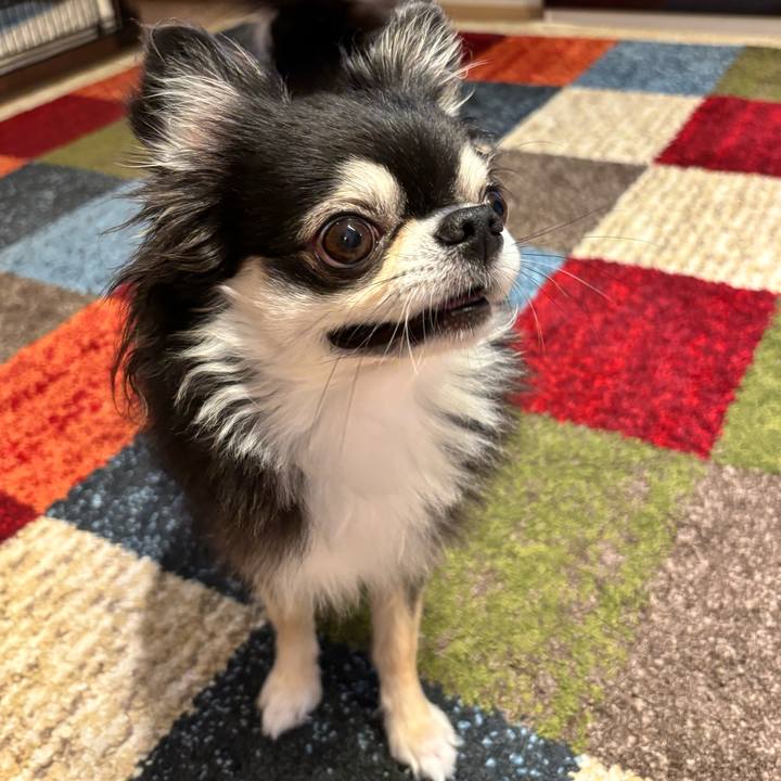 Fd3652e9 5ecd 4a1c b288 de99a5ed6523 1755362927425