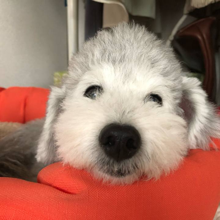 Fd367250 8b7d 447b 8d59 212b2cbb51f4 1714092390214