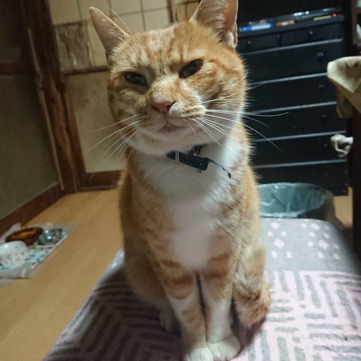 Fd368156 2a2a 4633 9f2a 5dfb31d5f595 1603828830352