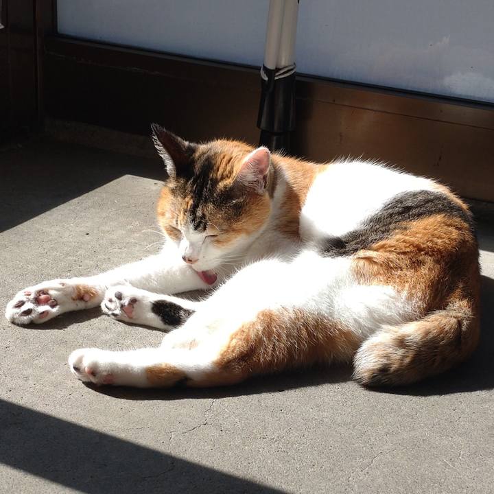 Fd36a0d7 b3d6 4986 a063 ff56c04fa1b7 1695358391948