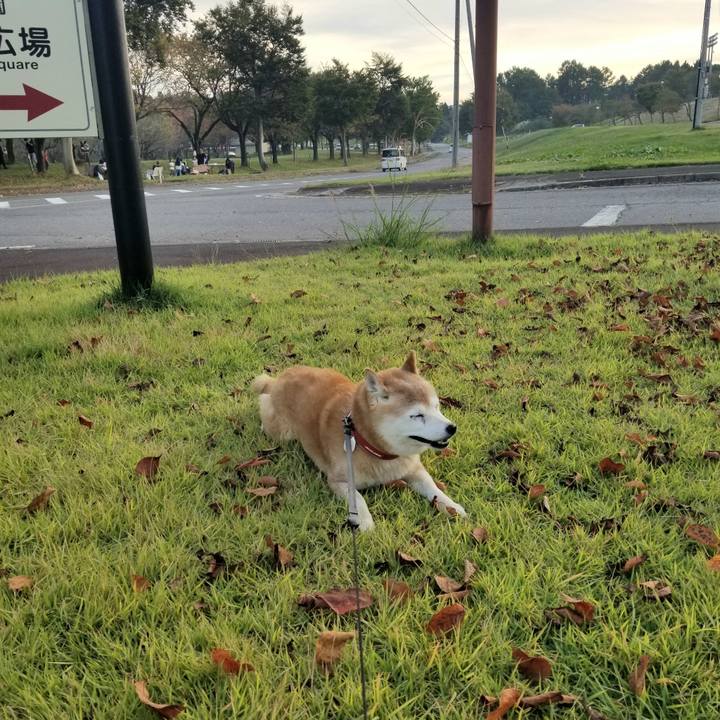 Fd373c38 40db 4286 8098 6de096d8446a 1728891005509