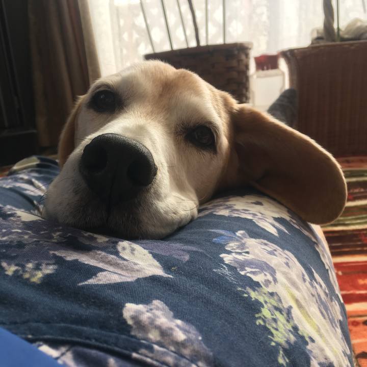 Fd37417c 462c 4474 a1f3 6ca1fddffa2a 1515588482834