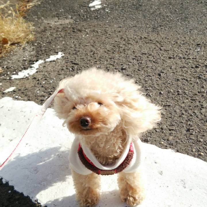 Fd3781af f802 446b 8be4 88c19cb9fba2 1515929922556