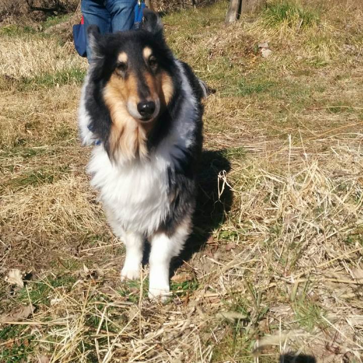 Fd379421 b2ce 4eba 890e 229ecc7d80ca 1645880766515