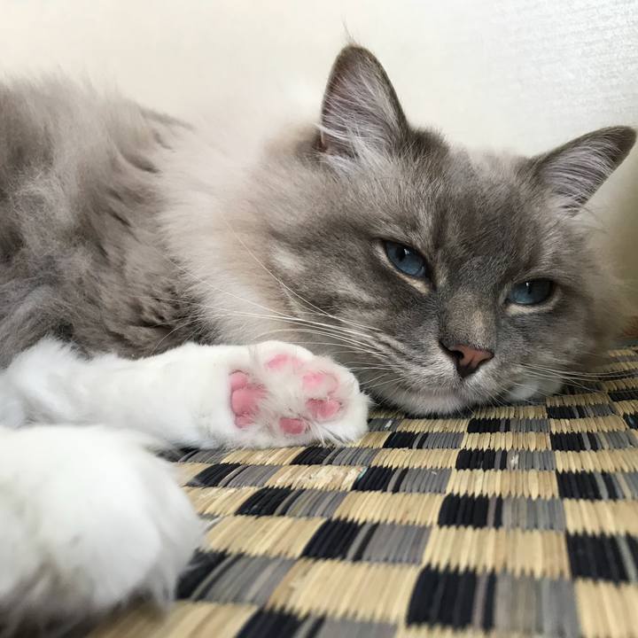 Fd37b5cd fc9f 42c4 8749 84654915cf3d 1513608606147