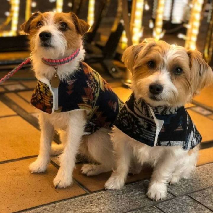 Fd37cbe0 8317 48f7 8576 c73bed621ba5 1733393145408