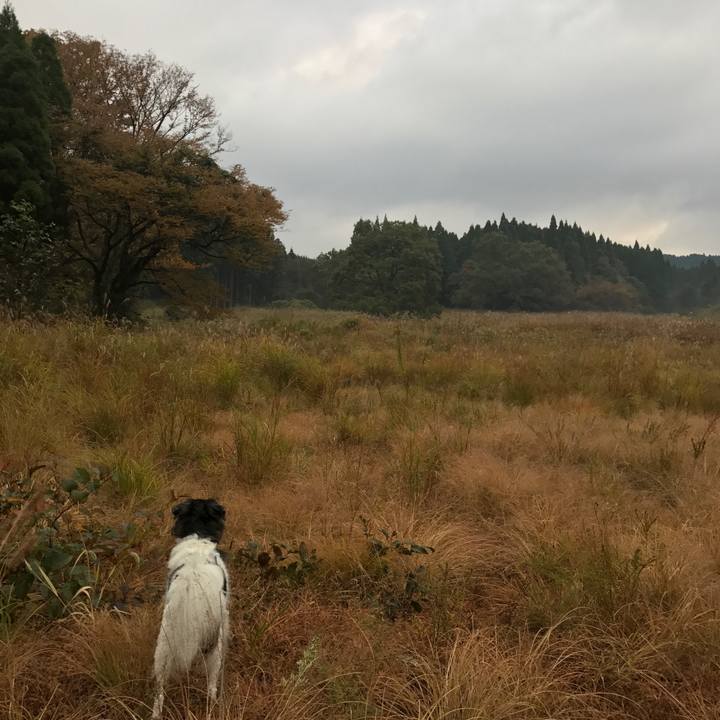 Fd37e0e7 48d0 4c5b ae77 92f559ba6072 1509583833961