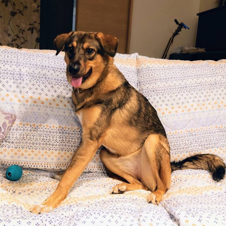 Fd37e99d 9095 4ea7 9a4a a303a0de7815 1694184149273