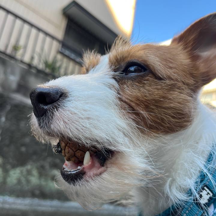 Fd37f800 0471 4df9 9f8c 0648065e3284 1767533935933