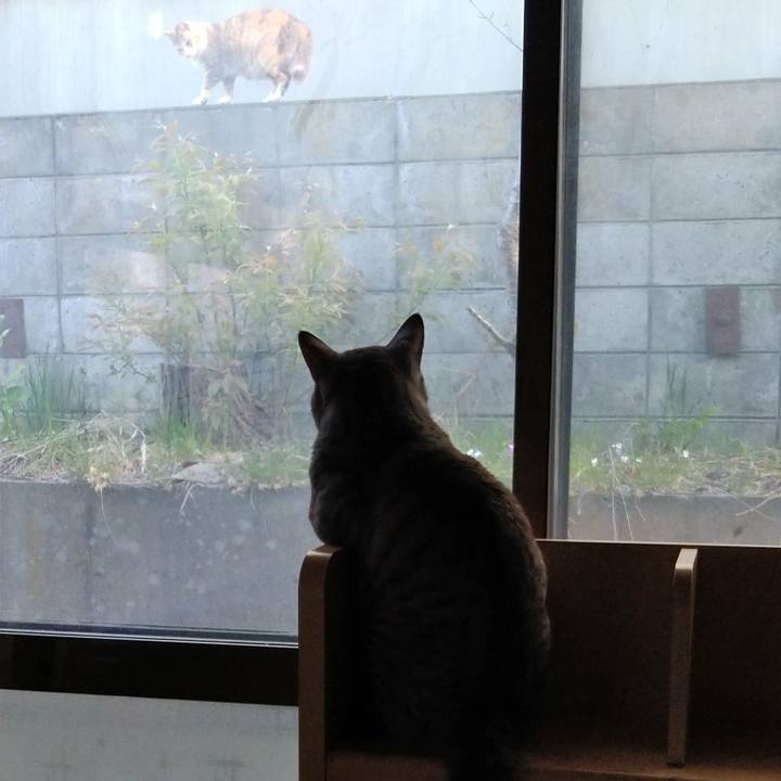 Fd3804e3 26c8 4a90 8dd2 8204731bf2d8 1684055345288